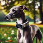 localizador gps para perro